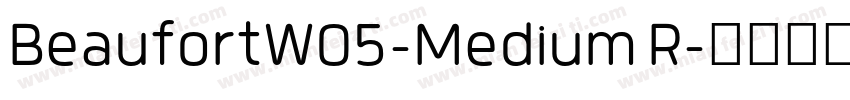BeaufortW05-Medium R字体转换